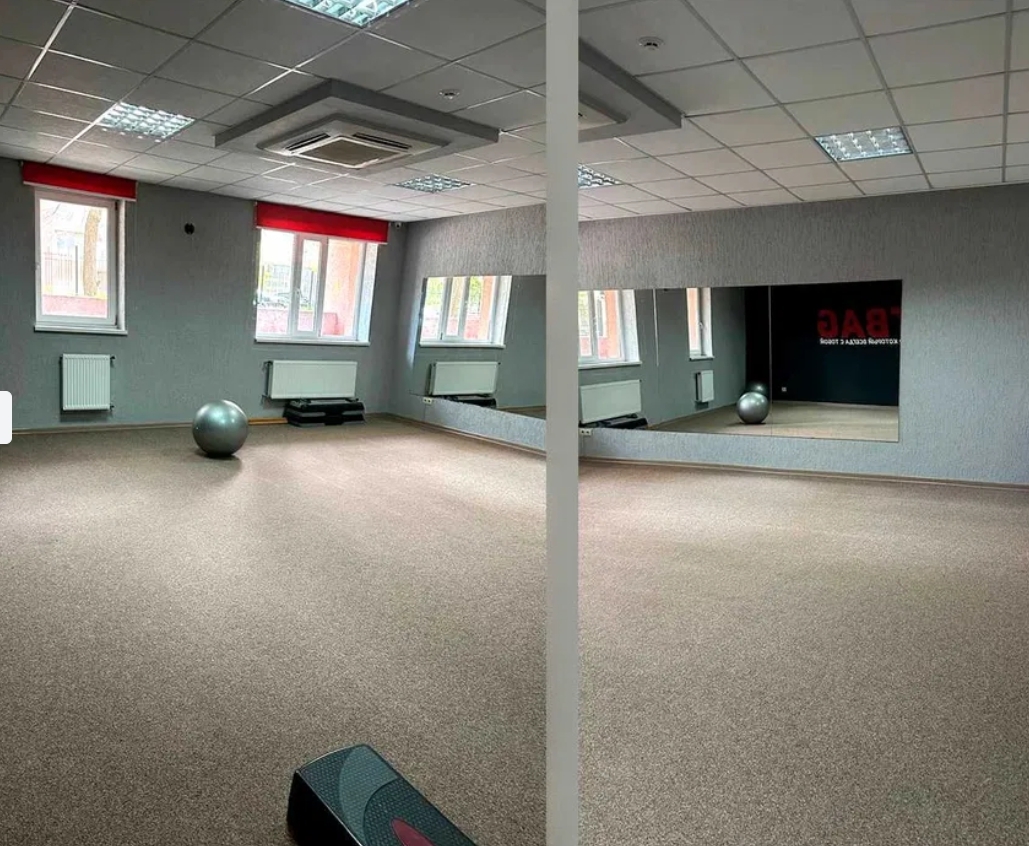 Аренда помещения свободного назначения 240 м², Шампанский пер.