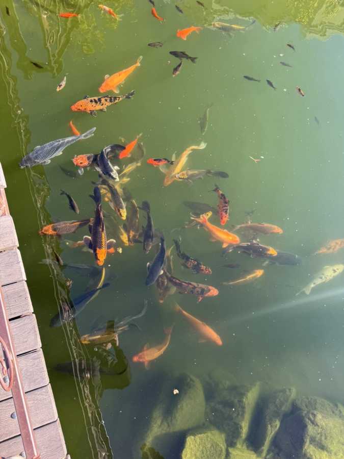 Продажа 1-комнатной квартиры 38 м², Відпочинку, 3