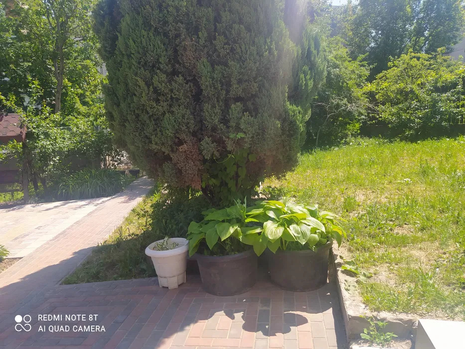 Оренда котеджу 187 м², Почайнинська вул.