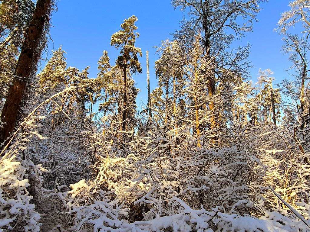 Продажа дома 40 м², міндіча