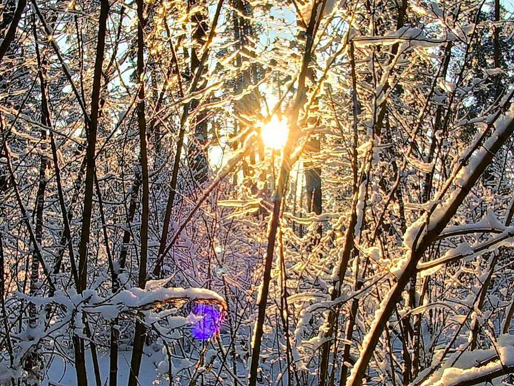 Продажа дома 40 м², міндіча