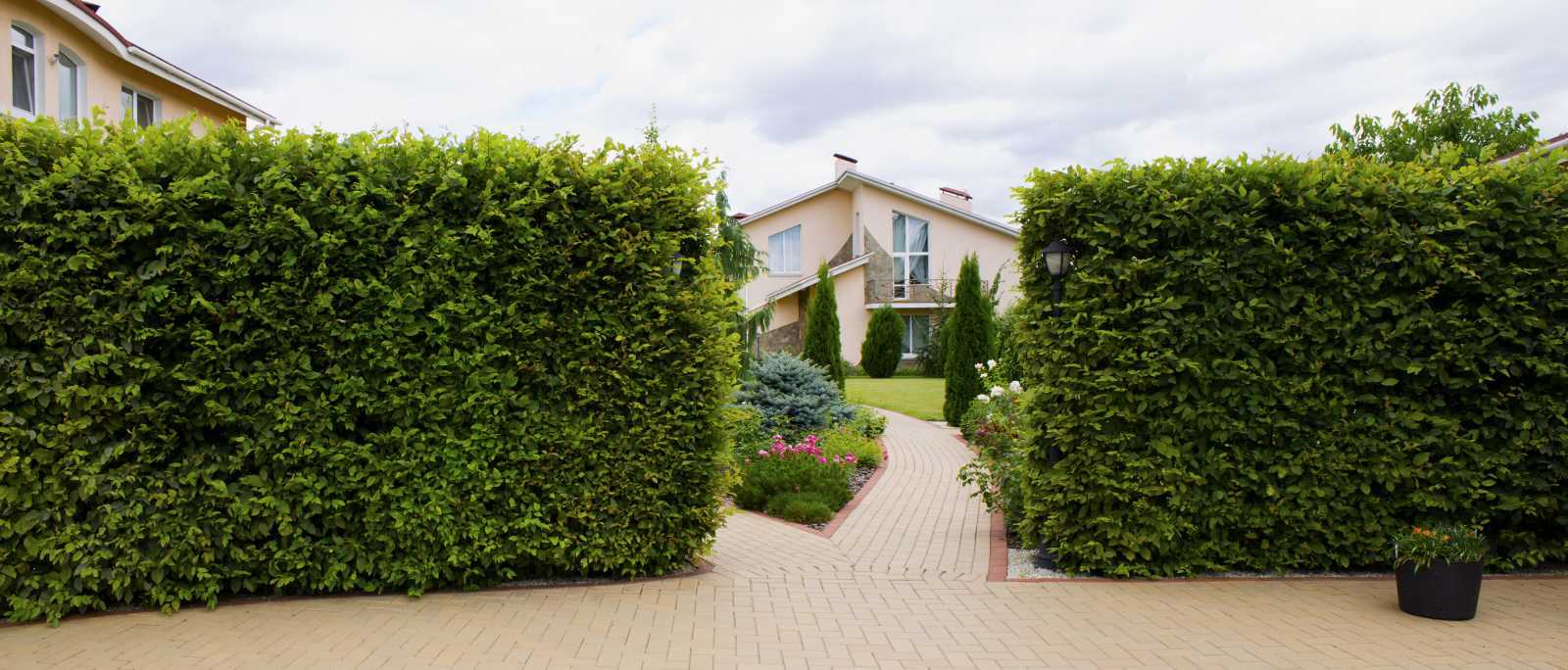 Продажа дома 500 м², Соловяненка