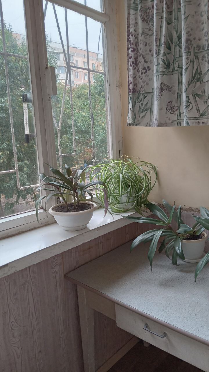 Продажа 3-комнатной квартиры 66.3 м², Академика Королева ул.