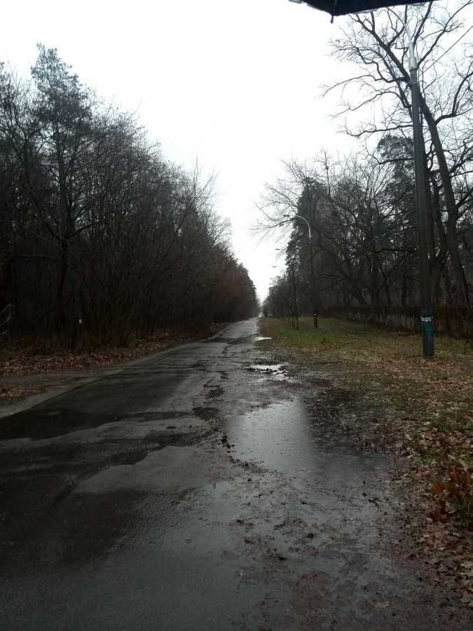 Продаж ділянки під індивідуальне житлове будівництво 20 соток, Лісова вул.