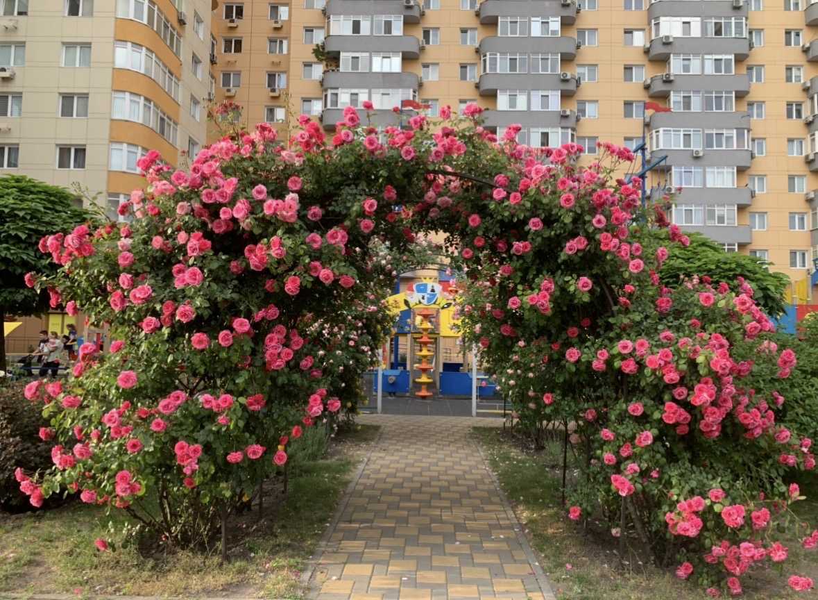 Аренда 1-комнатной квартиры 43 м², Юрия Кондратюка ул., 5