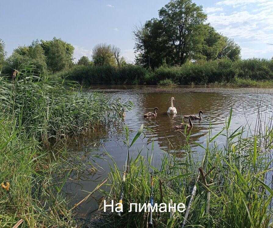 Продажа дачи 194 м², Моряк 4, 29