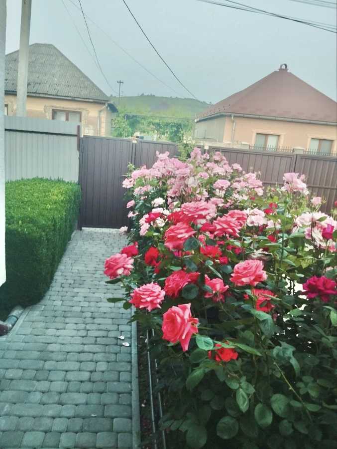 Дом посуточно 200 м², Легоцького, 71