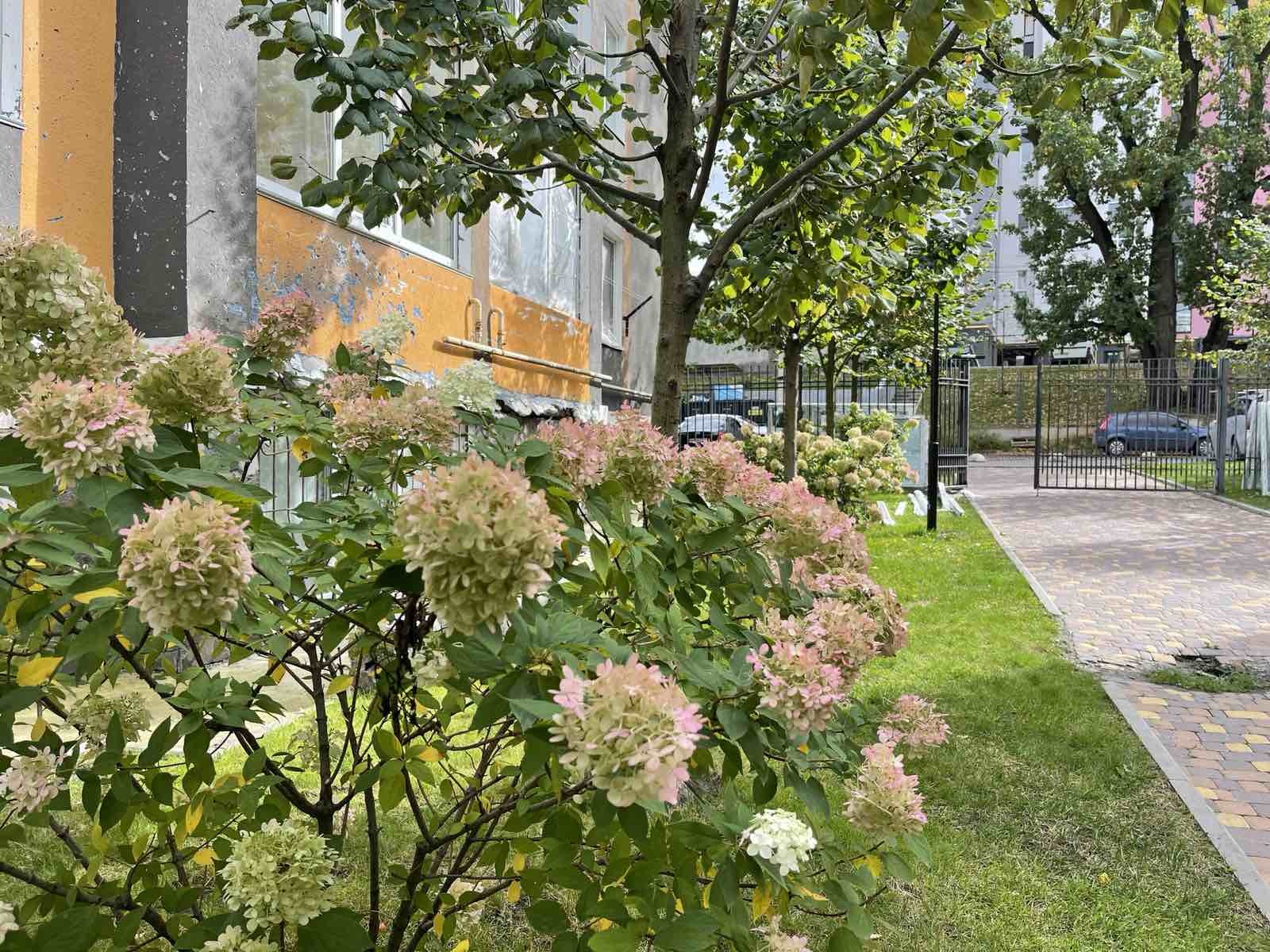 Оренда 1-кімнатної квартири 38 м², Джерельна вул., 4