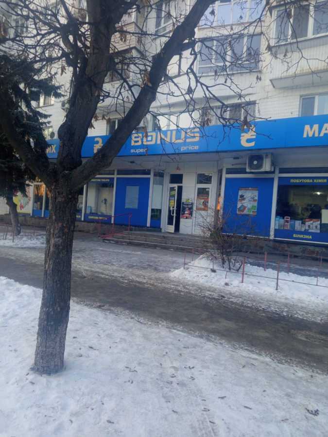 Аренда другого торгового помещения 298 м², Русановский бул., 3