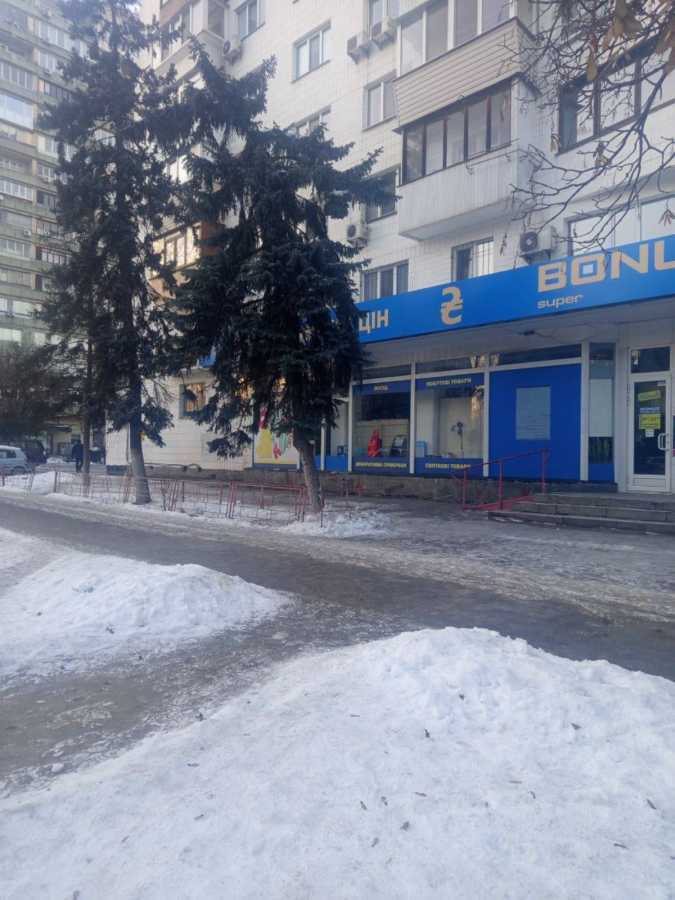 Аренда другого торгового помещения 298 м², Русановский бул., 3