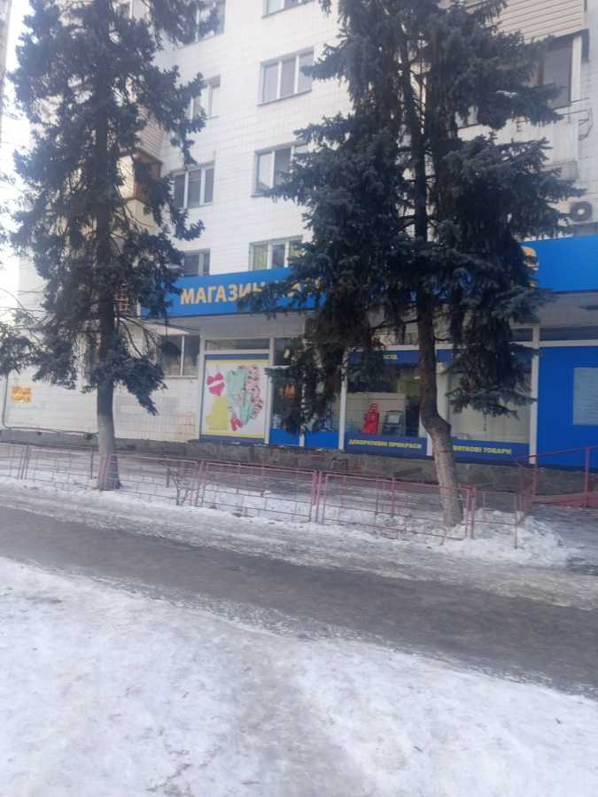 Аренда другого торгового помещения 298 м², Русановский бул., 3