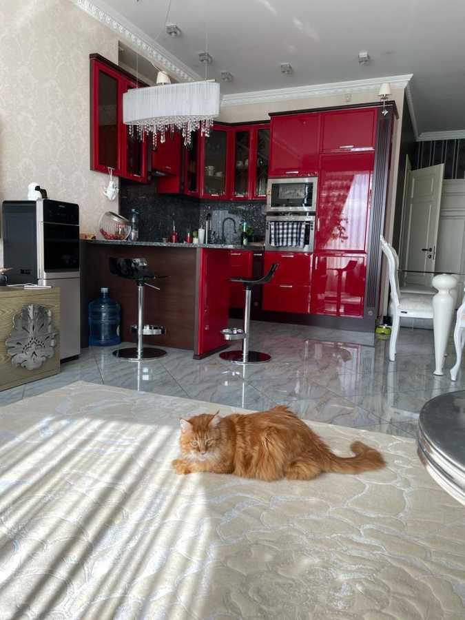 Аренда 2-комнатной квартиры 68 м², Сечевых Стрельцов ул., 52А