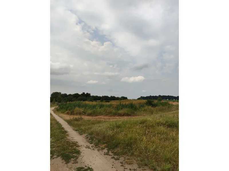 Продажа участка для личного сельского хозяйства 1519.95 соток, Нова