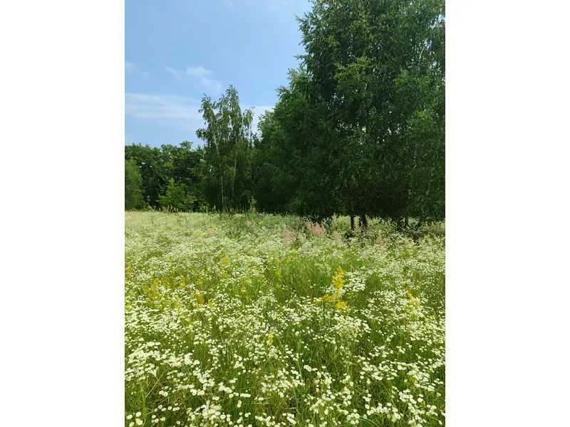 Продажа участка для личного сельского хозяйства 1446.95 соток, Нова