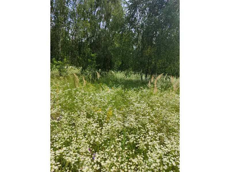 Продажа участка для личного сельского хозяйства 1446.95 соток, Нова