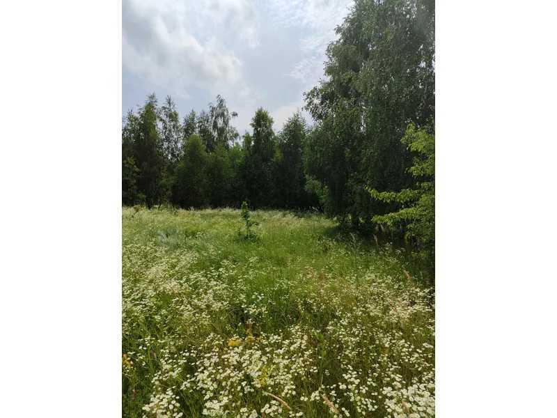 Продажа участка для личного сельского хозяйства 1446.95 соток, Нова