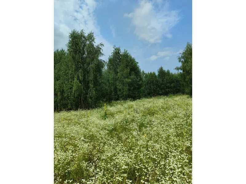 Продажа участка для личного сельского хозяйства 1446.95 соток, Нова