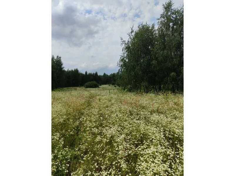 Продажа участка для личного сельского хозяйства 1446.95 соток, Нова