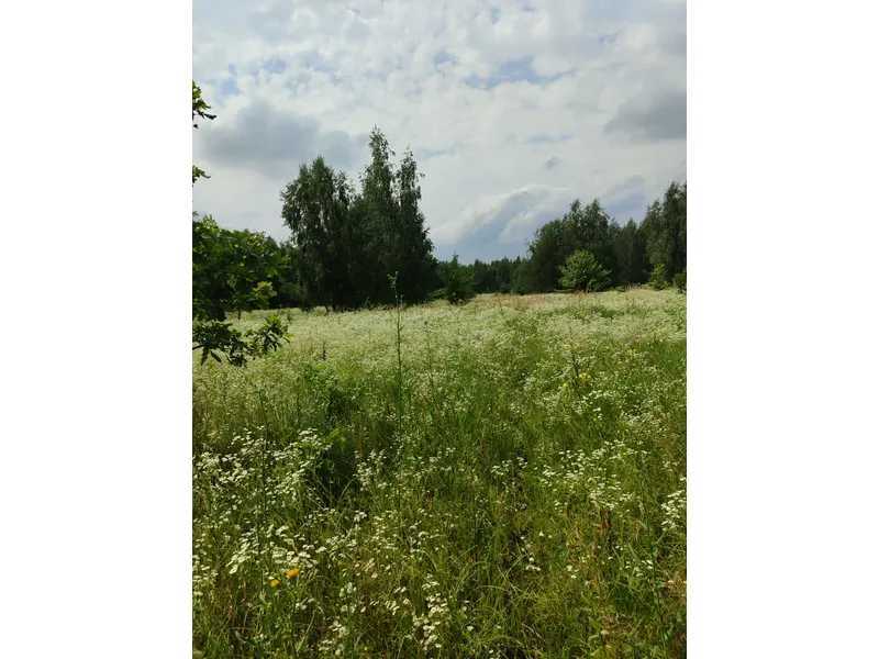 Продажа участка для личного сельского хозяйства 1446.95 соток, Нова