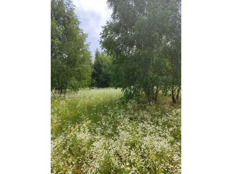 Продажа участка для личного сельского хозяйства 1446.95 соток, Нова