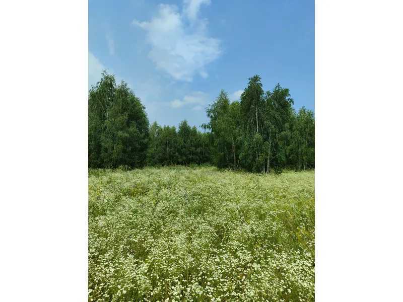 Продажа участка для личного сельского хозяйства 1446.95 соток, Нова