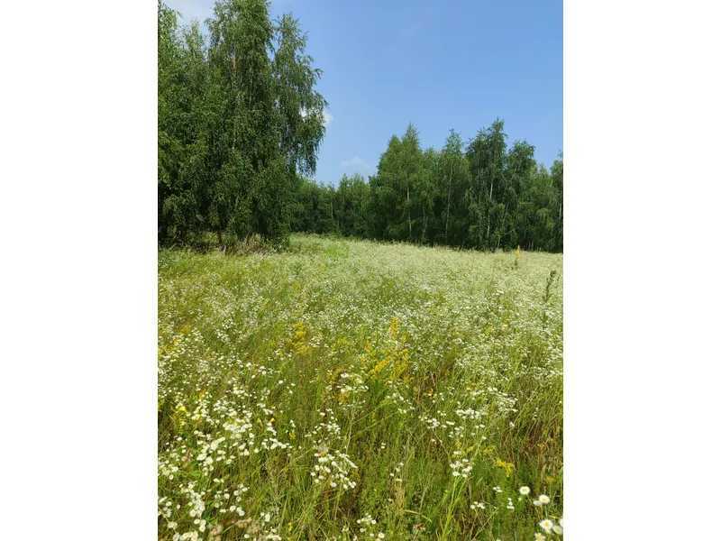 Продажа участка для личного сельского хозяйства 1689.42 соток, Нова