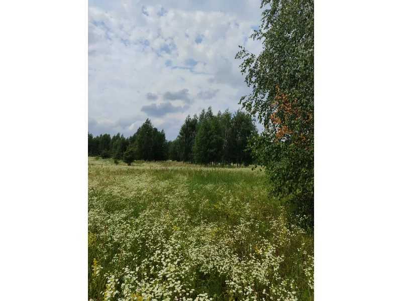 Продажа участка для личного сельского хозяйства 1689.42 соток, Нова