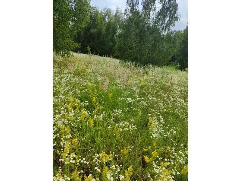 Продажа участка для личного сельского хозяйства 1689.42 соток, Нова