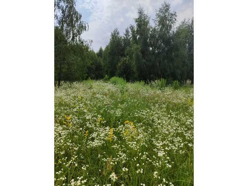 Продажа участка для личного сельского хозяйства 1689.42 соток, Нова