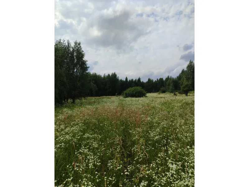 Продажа участка для личного сельского хозяйства 1689.42 соток, Нова