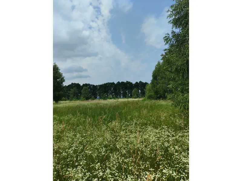 Продажа участка для личного сельского хозяйства 1689.42 соток, Нова