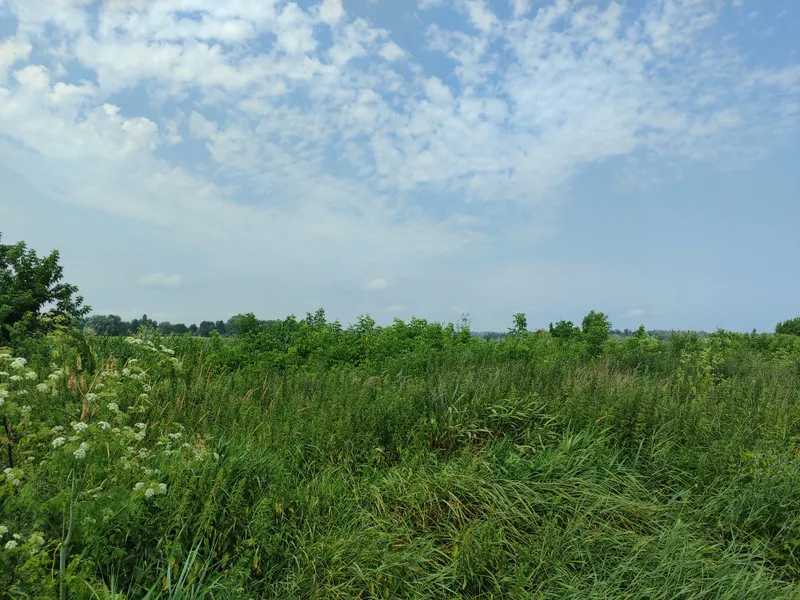 Продажа участка для личного сельского хозяйства 2152.23 соток, Нова