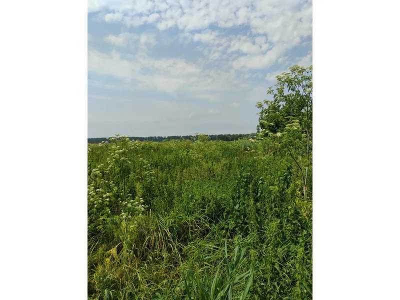 Продажа участка для личного сельского хозяйства 2152.23 соток, Нова