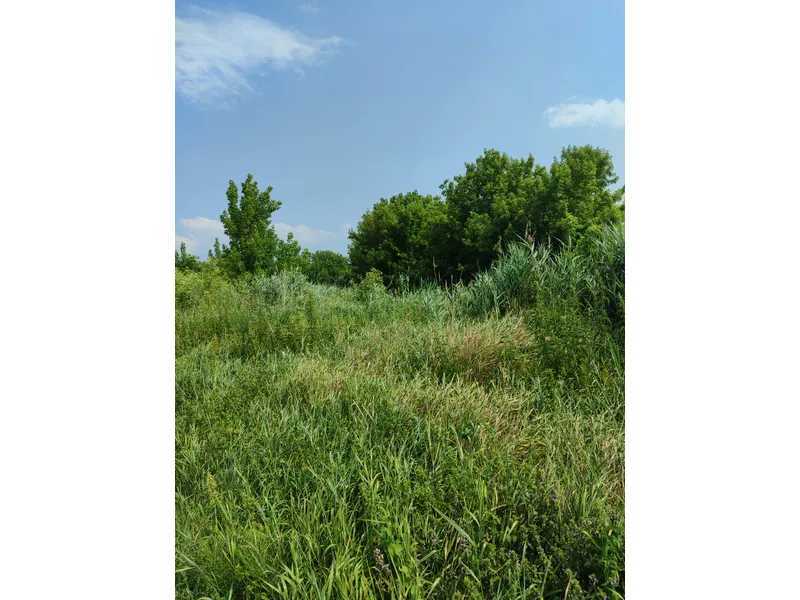 Продажа участка для личного сельского хозяйства 2152.23 соток, Нова