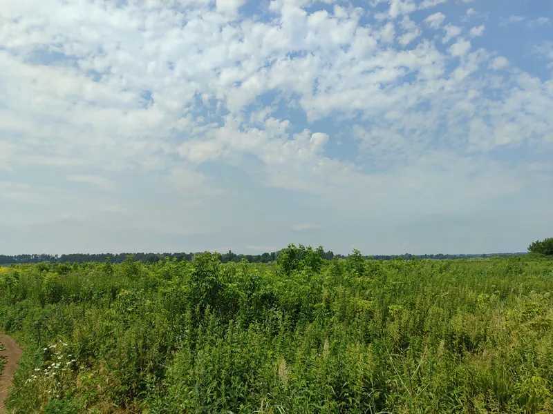 Продажа участка для личного сельского хозяйства 2152.23 соток, Нова