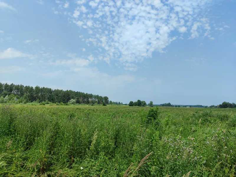 Продажа участка для личного сельского хозяйства 2152.23 соток, Нова