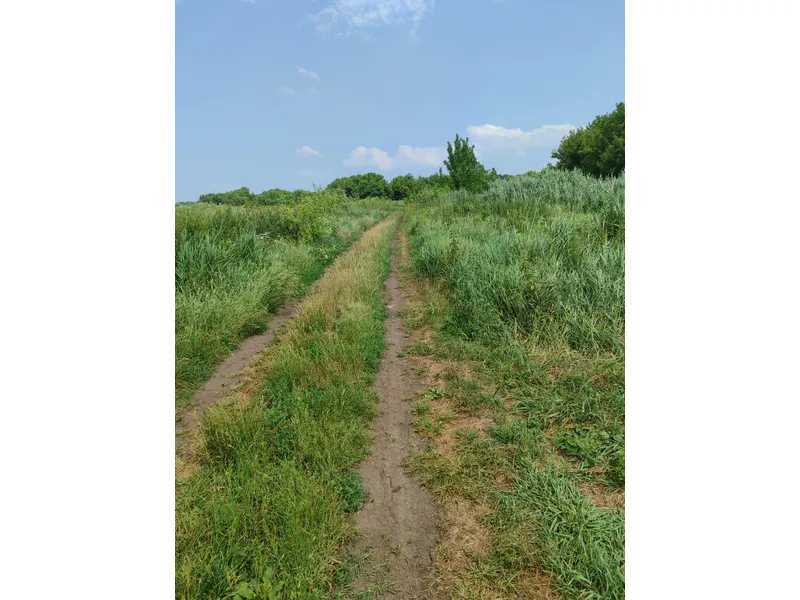 Продажа участка для личного сельского хозяйства 2152.23 соток, Нова