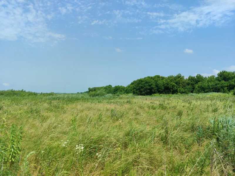 Продажа участка для личного сельского хозяйства 2152.23 соток, Нова