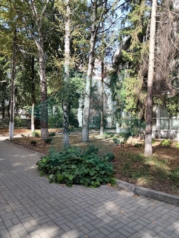 Продажа 2-комнатной квартиры 68 м², Инженерная ул., 7