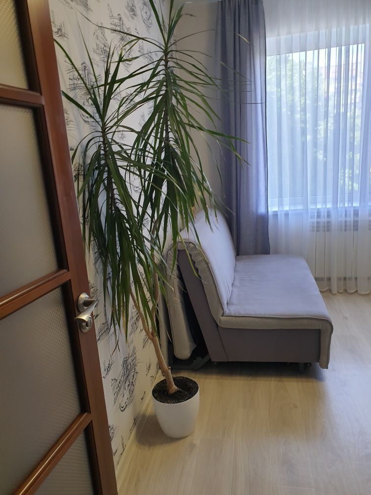 Продажа 3-комнатной квартиры 65 м², Терещенковская ул.