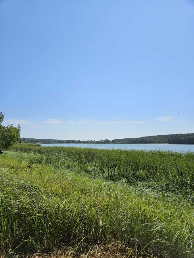 Продажа дома 485 м², 9а