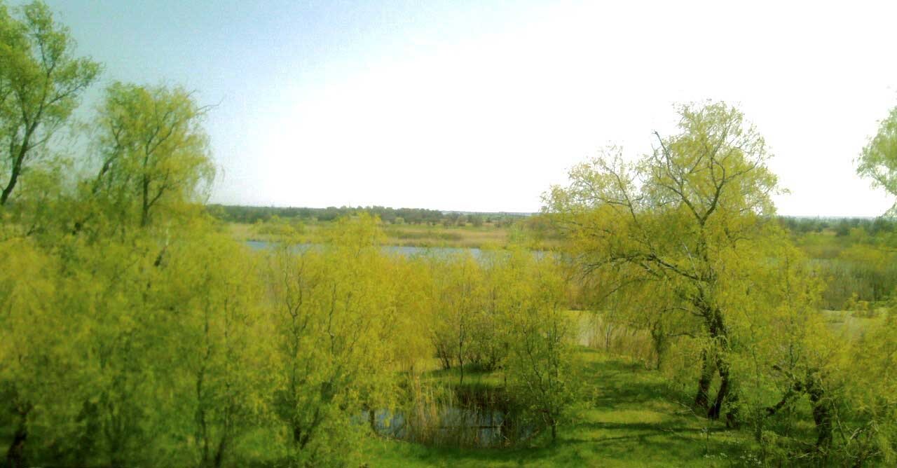 Продажа дома 164 м², Слобожанский просп.