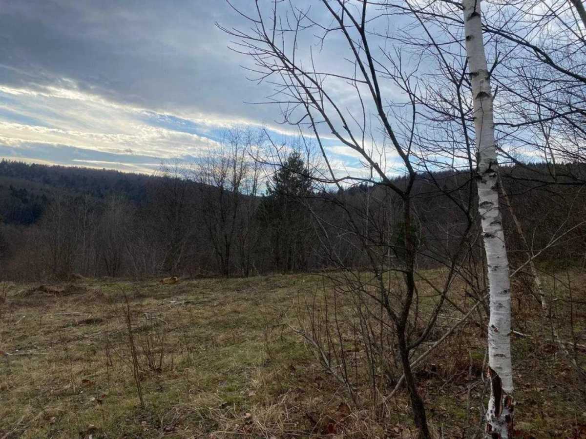 Продажа участка под индивидуальное жилое строительство 32 соток, С.Бандери