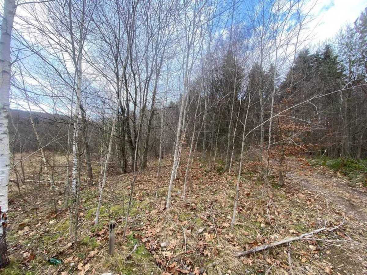 Продажа участка под индивидуальное жилое строительство 32 соток, С.Бандери