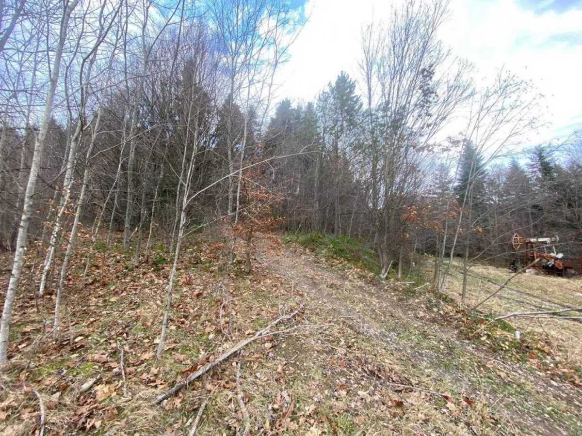 Продажа участка под индивидуальное жилое строительство 32 соток, С.Бандери