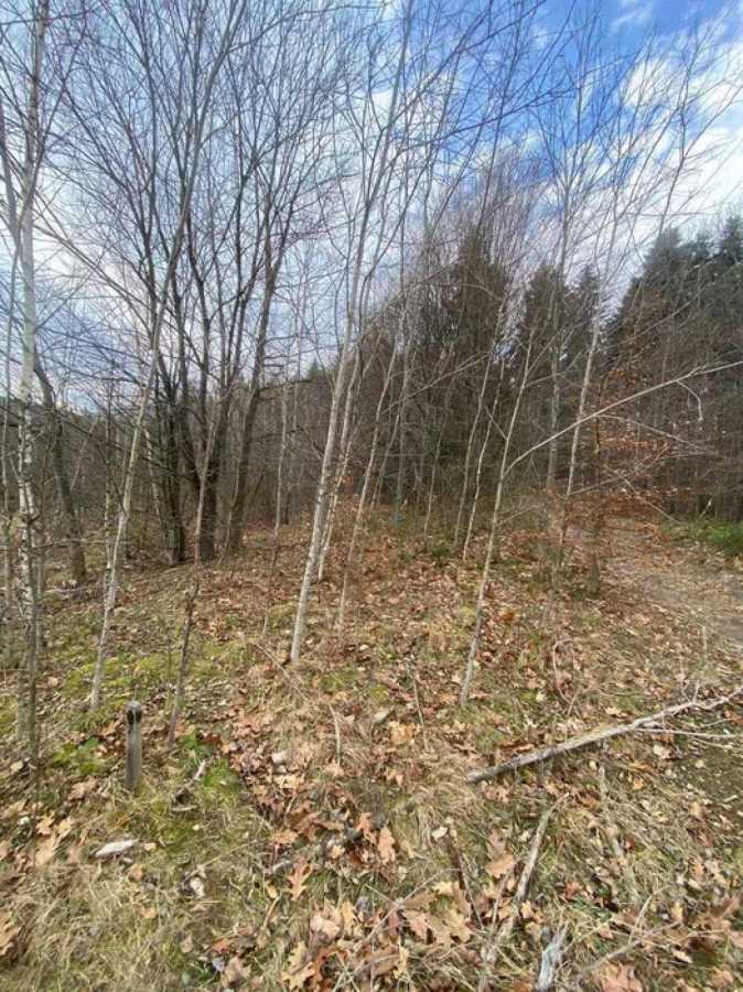 Продажа участка под индивидуальное жилое строительство 32 соток, С.Бандери