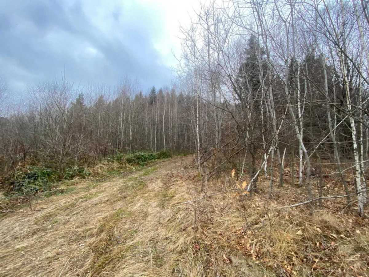 Продажа участка под индивидуальное жилое строительство 32 соток, С.Бандери