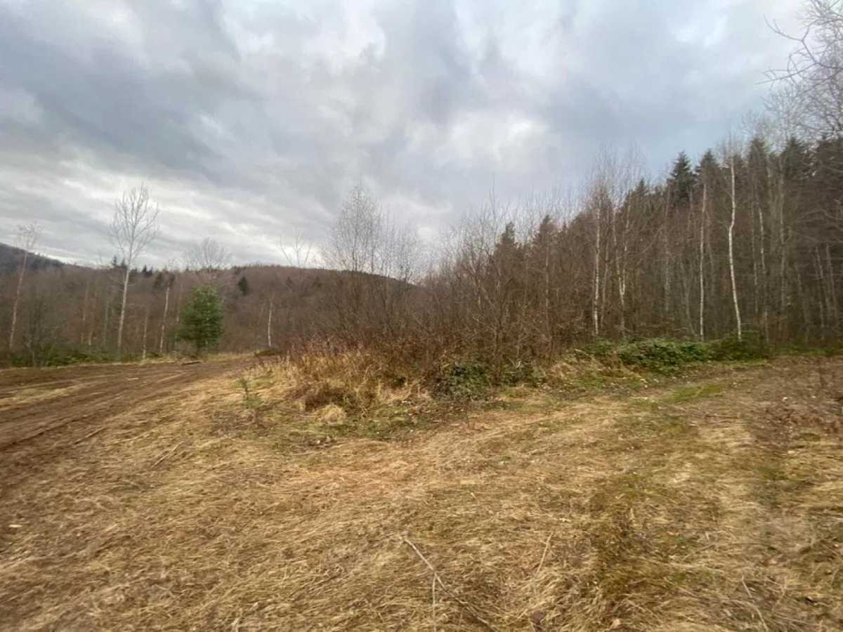 Продажа участка под индивидуальное жилое строительство 32 соток, С.Бандери