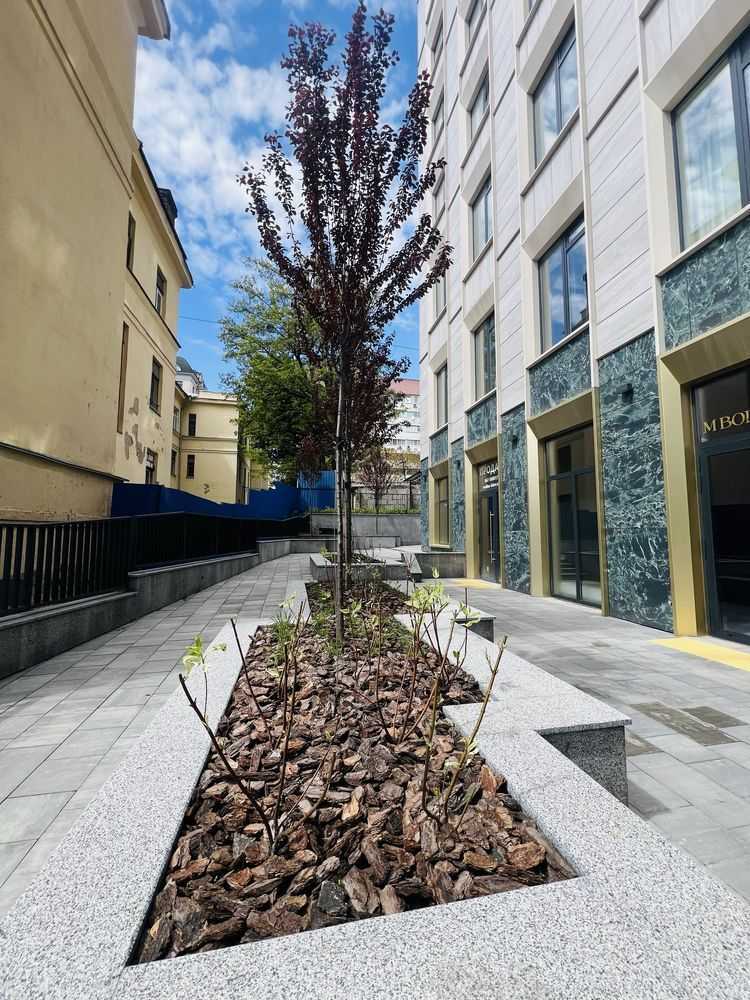 Аренда 1-комнатной квартиры 48 м², Владимирская ул., 86а