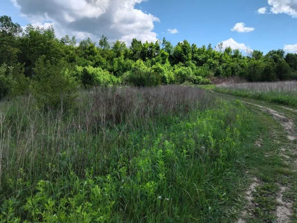 Продажа участка для строительства производства 150 соток, Визволення